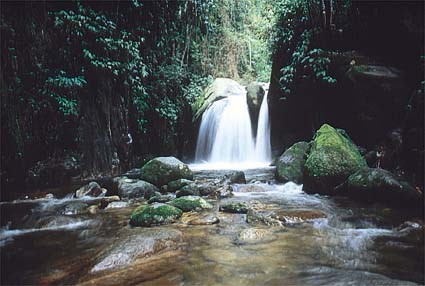 cachoeirinha.jpg (40409 bytes)